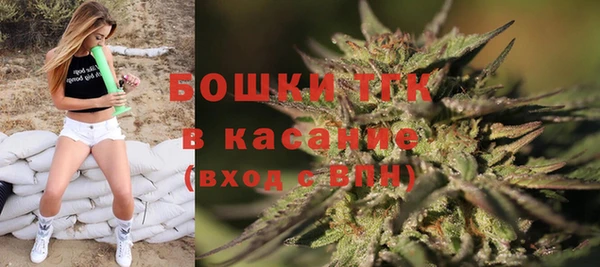 ешки Арсеньев