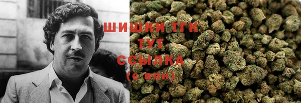 ешки Арсеньев